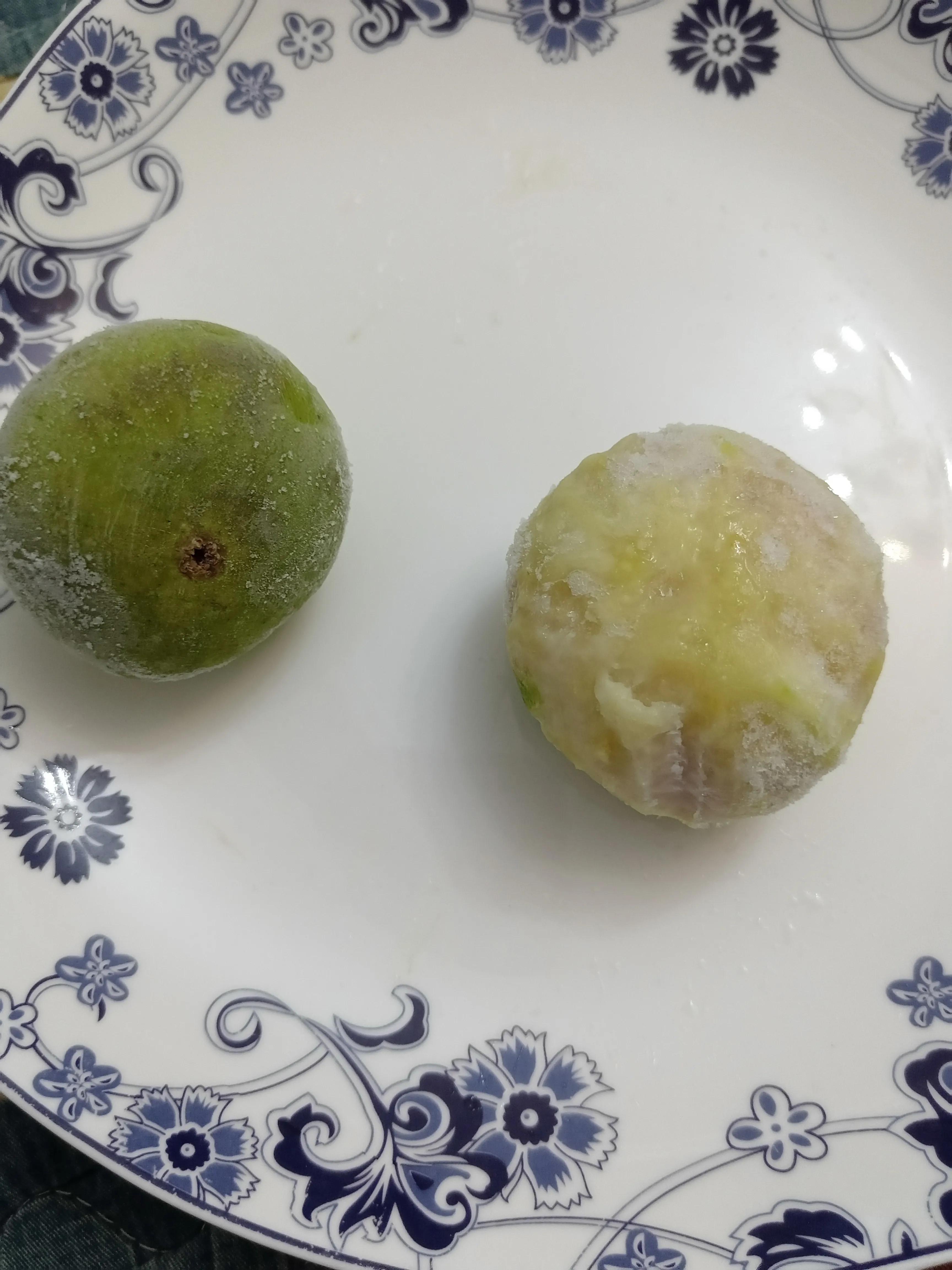 无花果冬天结果怎么办,无花果树冬天有叶子吗