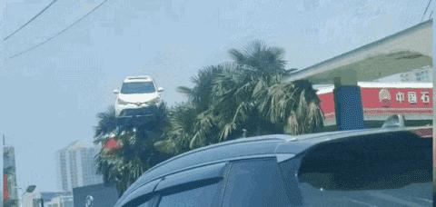 开心一刻｜有人接单吗？接一下我的孤单