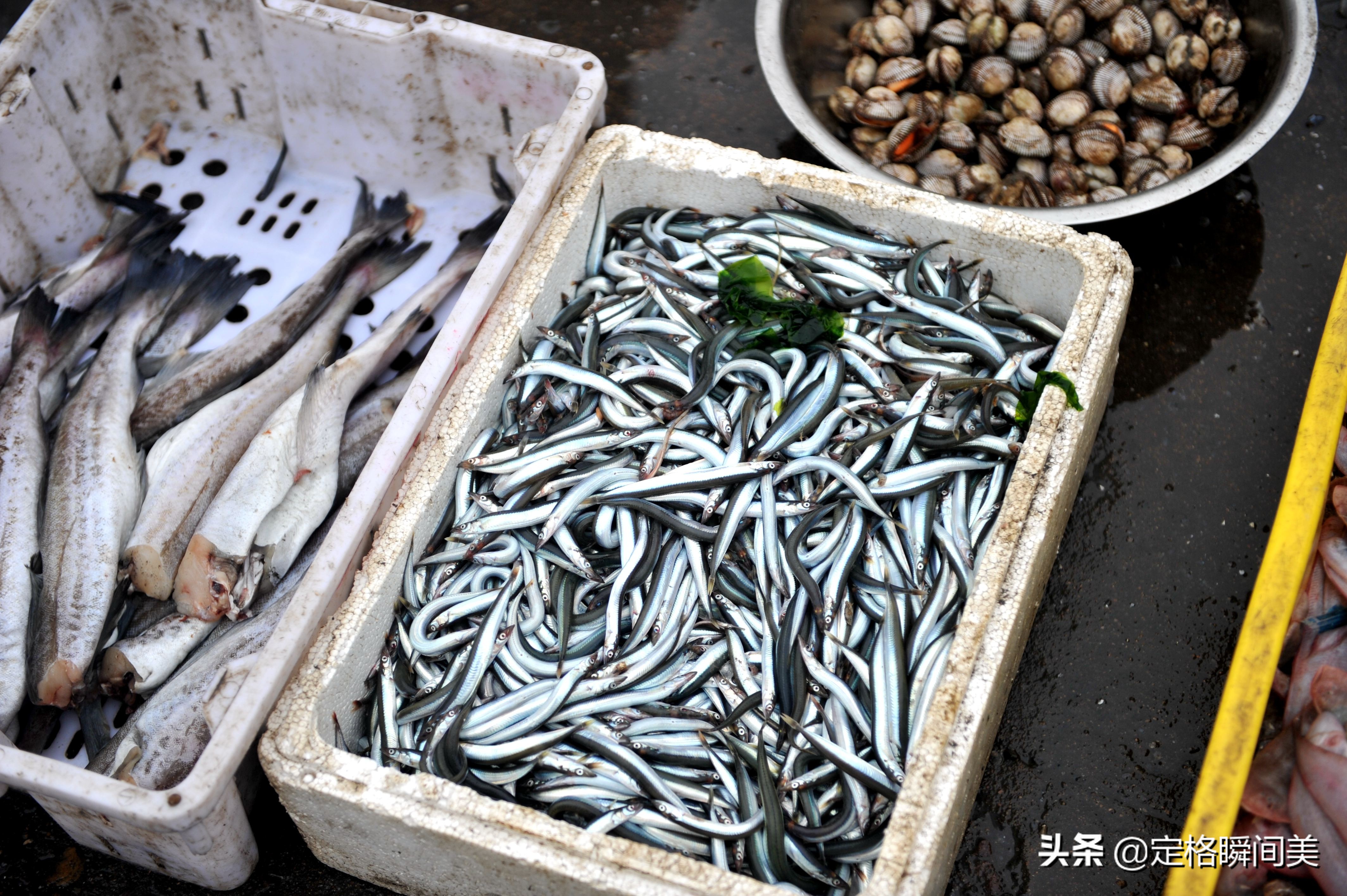 谷雨海鲜批发价格,谷雨在哪里买优惠力度比较大