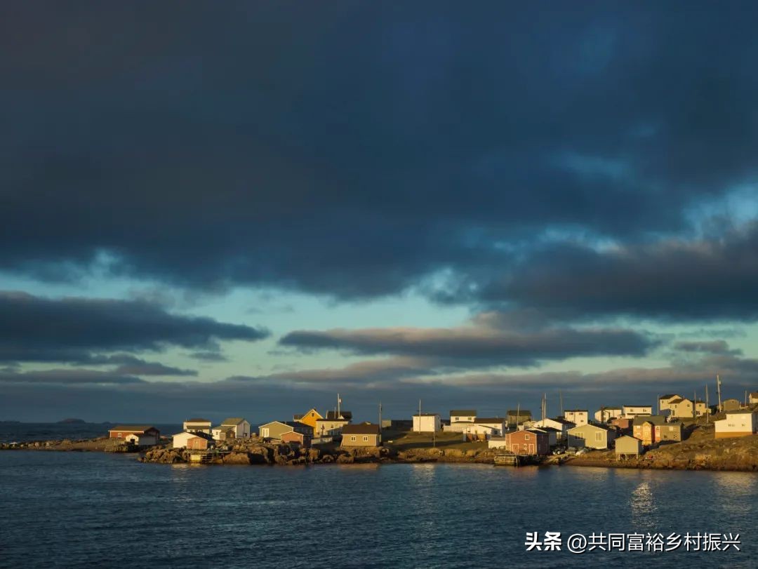 2023年全国乡村振兴优秀案例,乡村振兴典型案例5000字材料