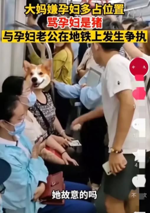 青岛大妈骂人事件后续,青岛大妈骂人事件