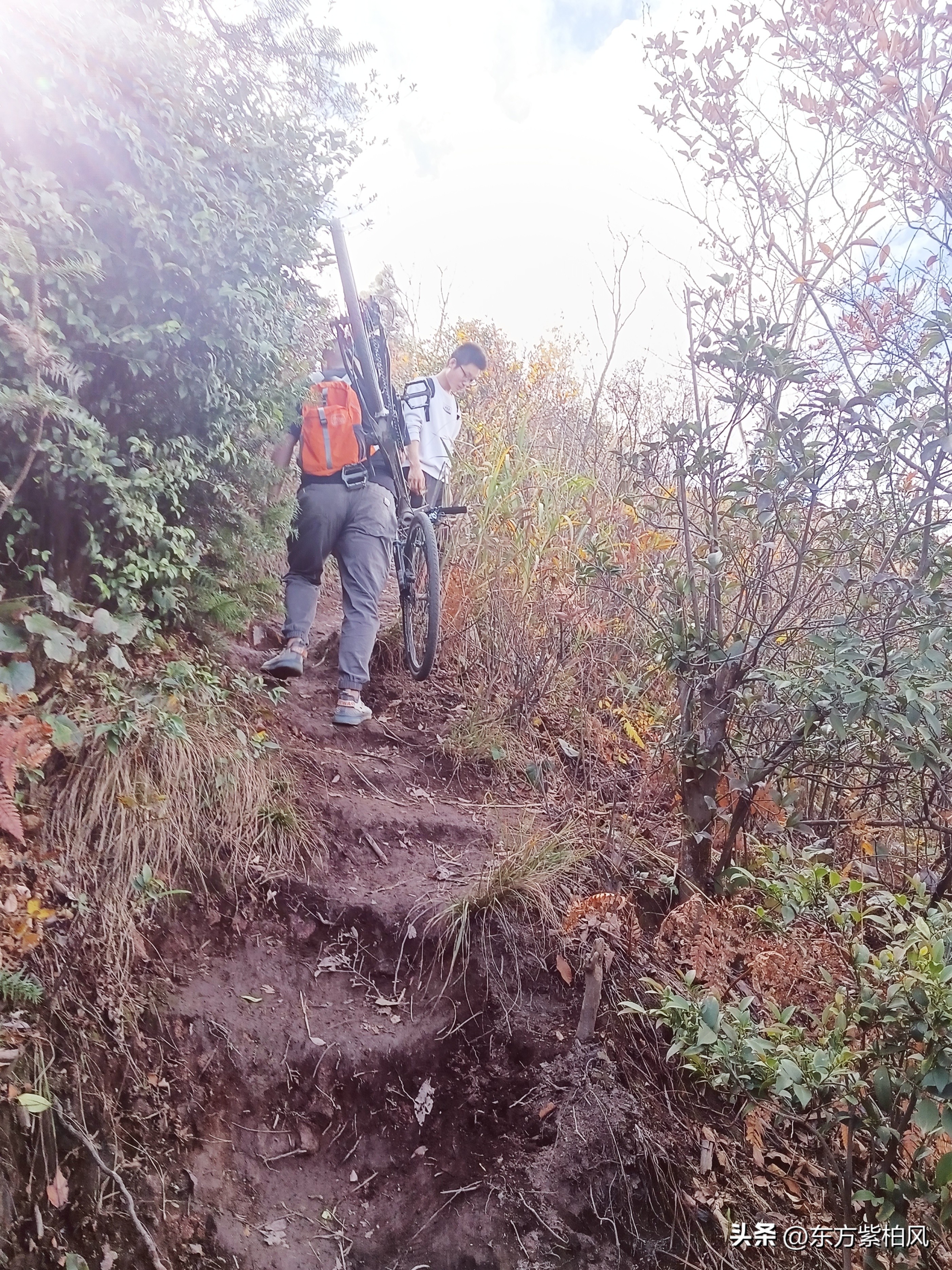 义乌大寒尖春季旅游,义乌大寒尖旅游饮食