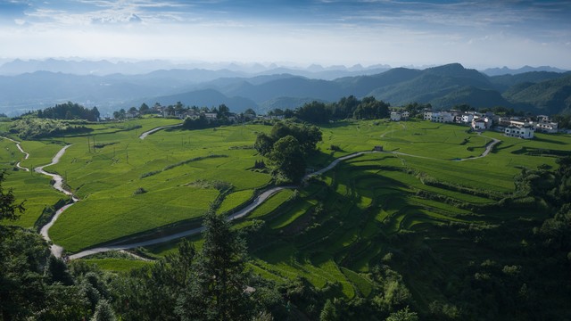 发展乡村振兴，2023年哪些重点项目可以申报立项