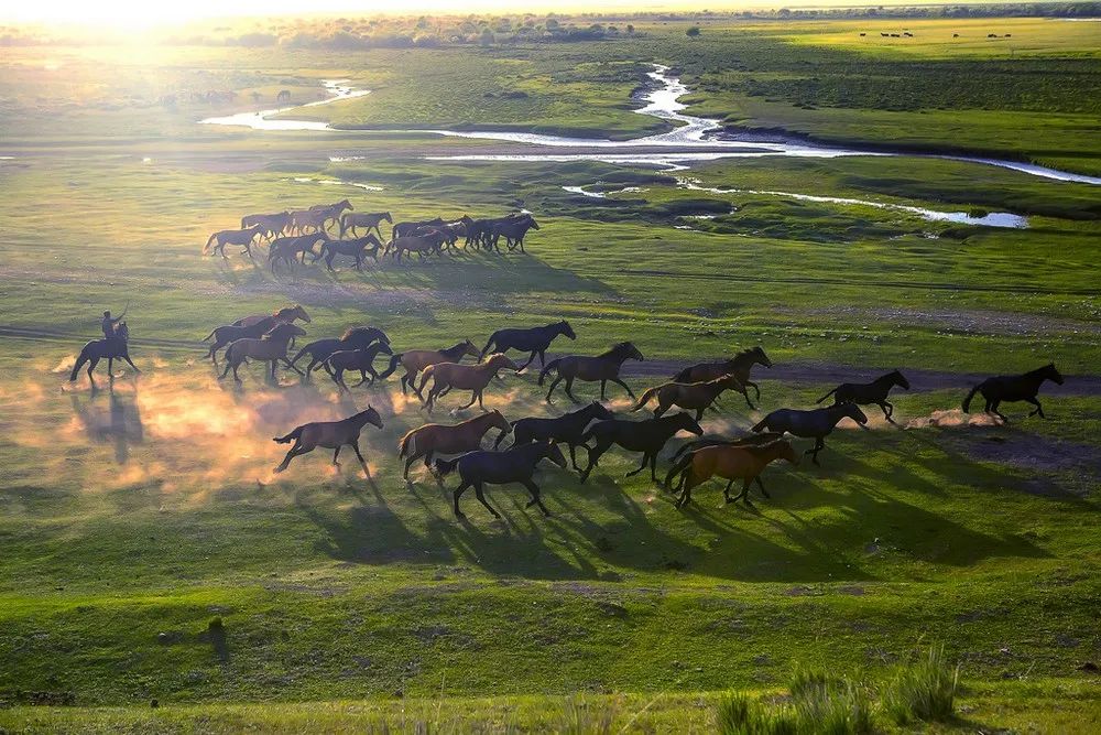 独库独行,独库南库