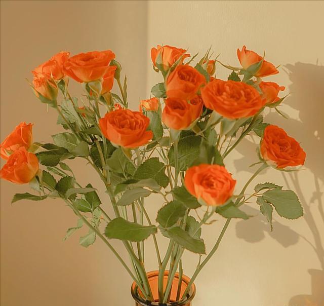 四十岁男人心中的女神,40岁大叔对什么样的女人会心动