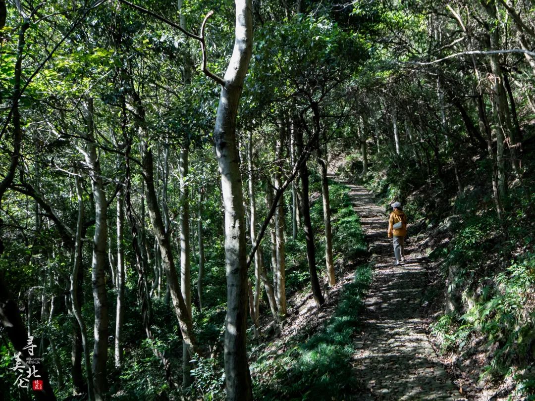 北仑步道爬山,北仑爬山路线