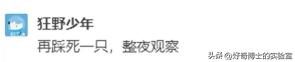 家里踩死的蟑螂，为啥一会儿就自动消失了？