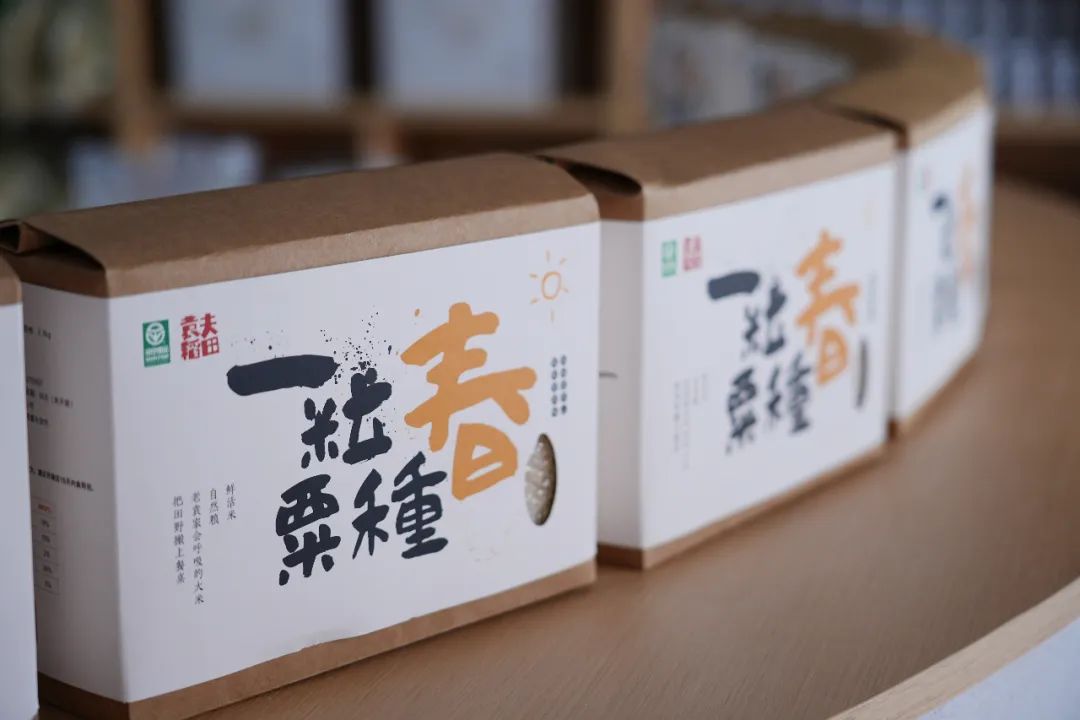 湖北黄冈旅游景点值得去的有哪些,黄冈去哪里旅游最便宜又好玩