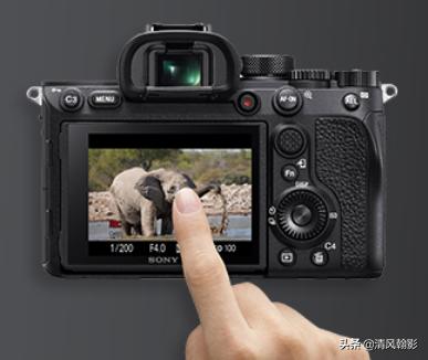 拍鸟什么微单相机合适,索尼a7r4深度拍摄感受