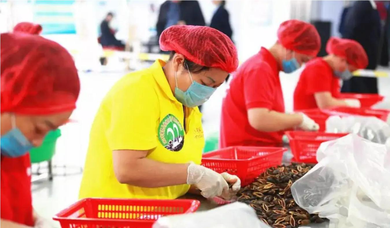 槟榔的危害原来这么大,槟榔的危害你知道有多大吗