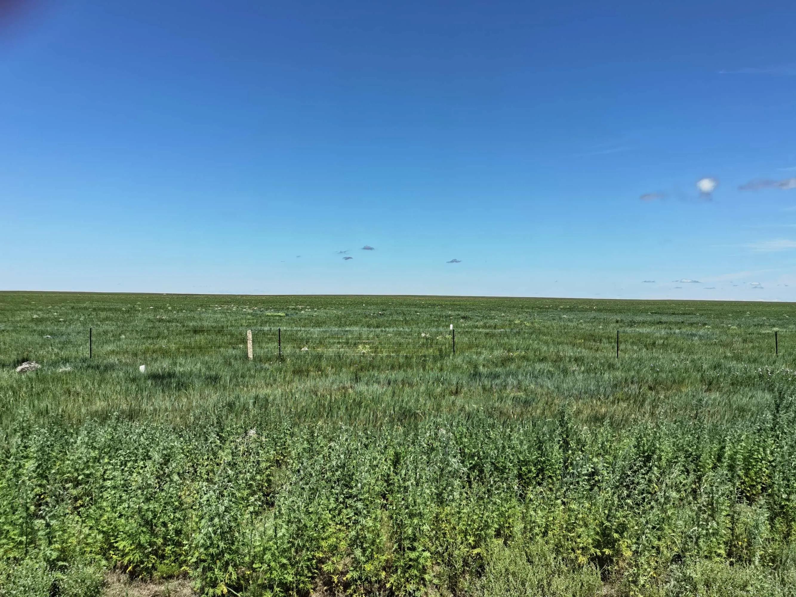 呼伦贝尔六日游自由行攻略 (呼伦贝尔八日游旅游攻略)