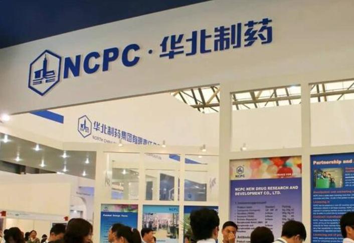 华北制药副总王立忱去年8月上任后薪酬39万高于同期上任的高建