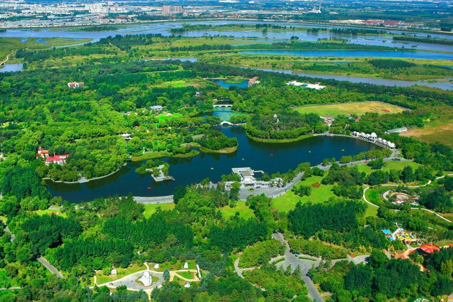 哈尔滨冰城冬季旅游攻略,冰城旅游攻略