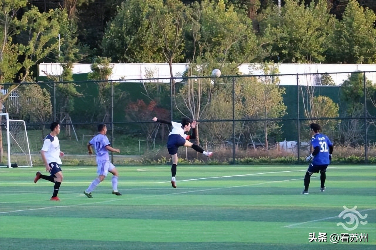 卡塔尔vs印度的裁判是谁,卡塔尔世界杯的中国裁判