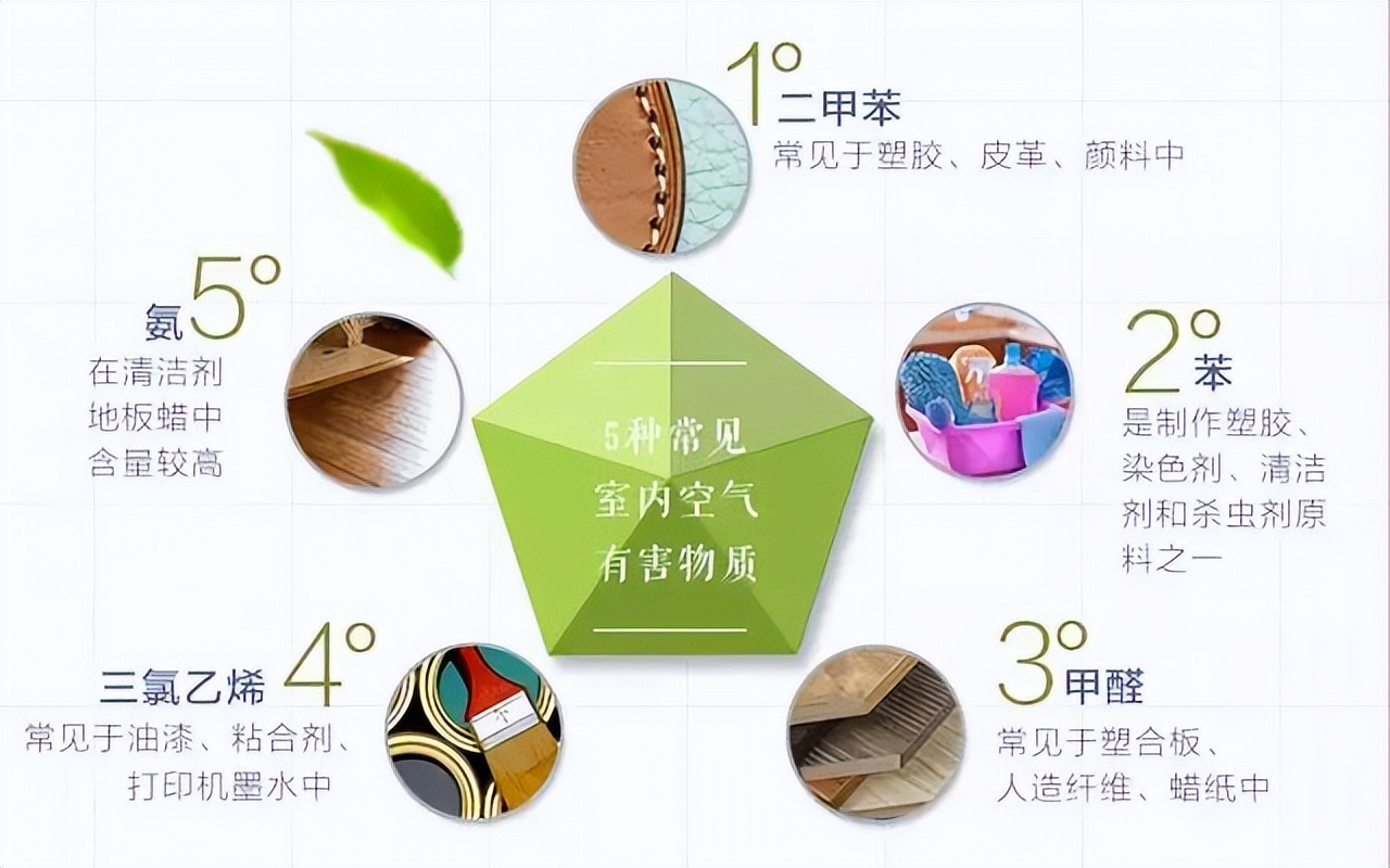 10种最会“吸收毒气”的家居植物,你养了几种?