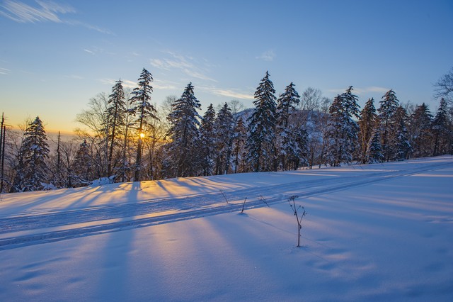 东北的现状是什么,未来东北吃香城市