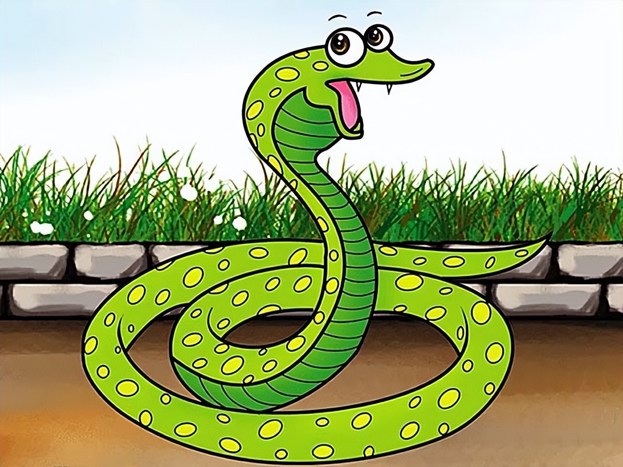 吉林农妇好心收养毒蛇,吉林农夫好心救了一条毒蛇