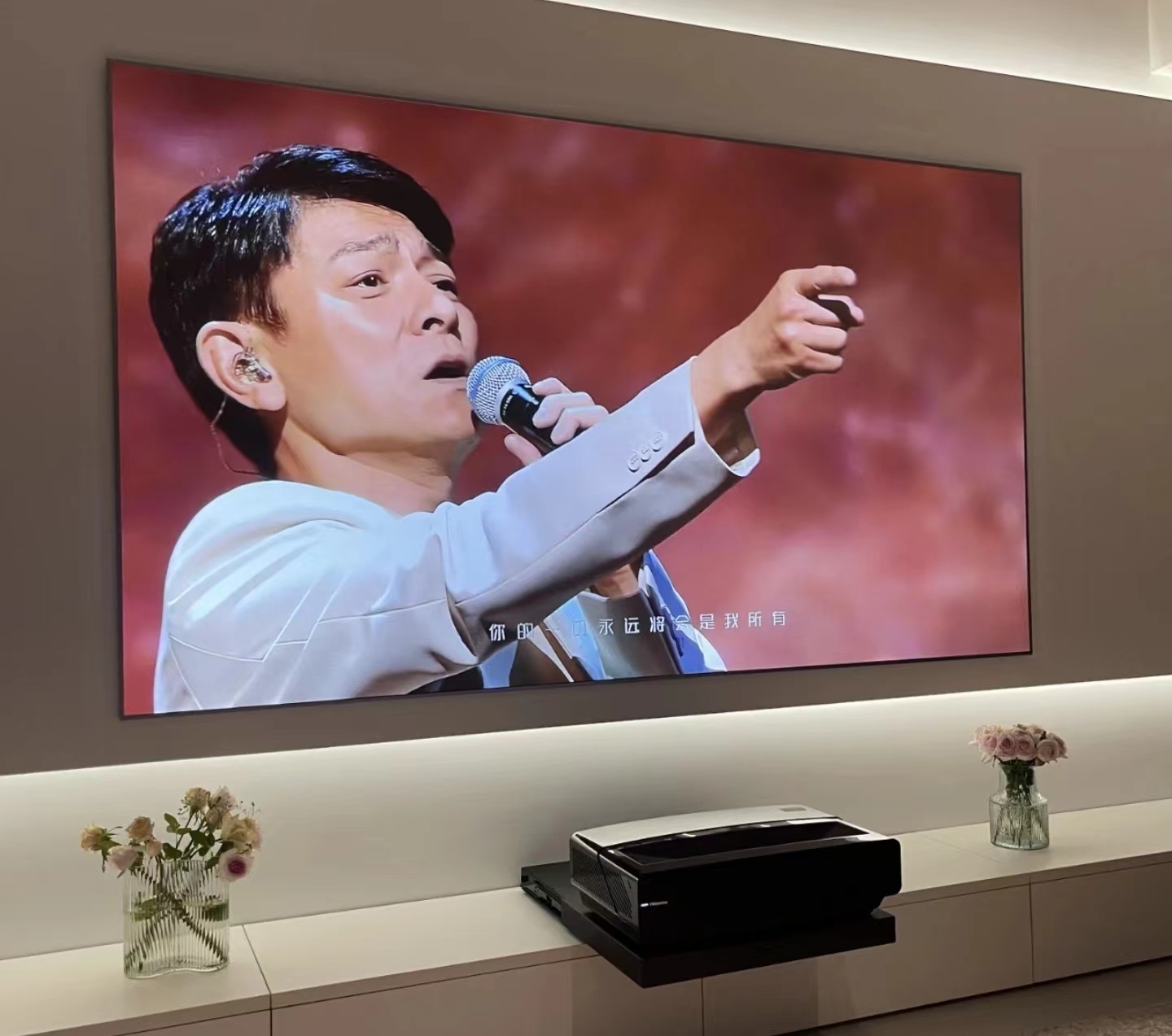 大家电各类品牌推荐,各大家电品牌中必买的是什么