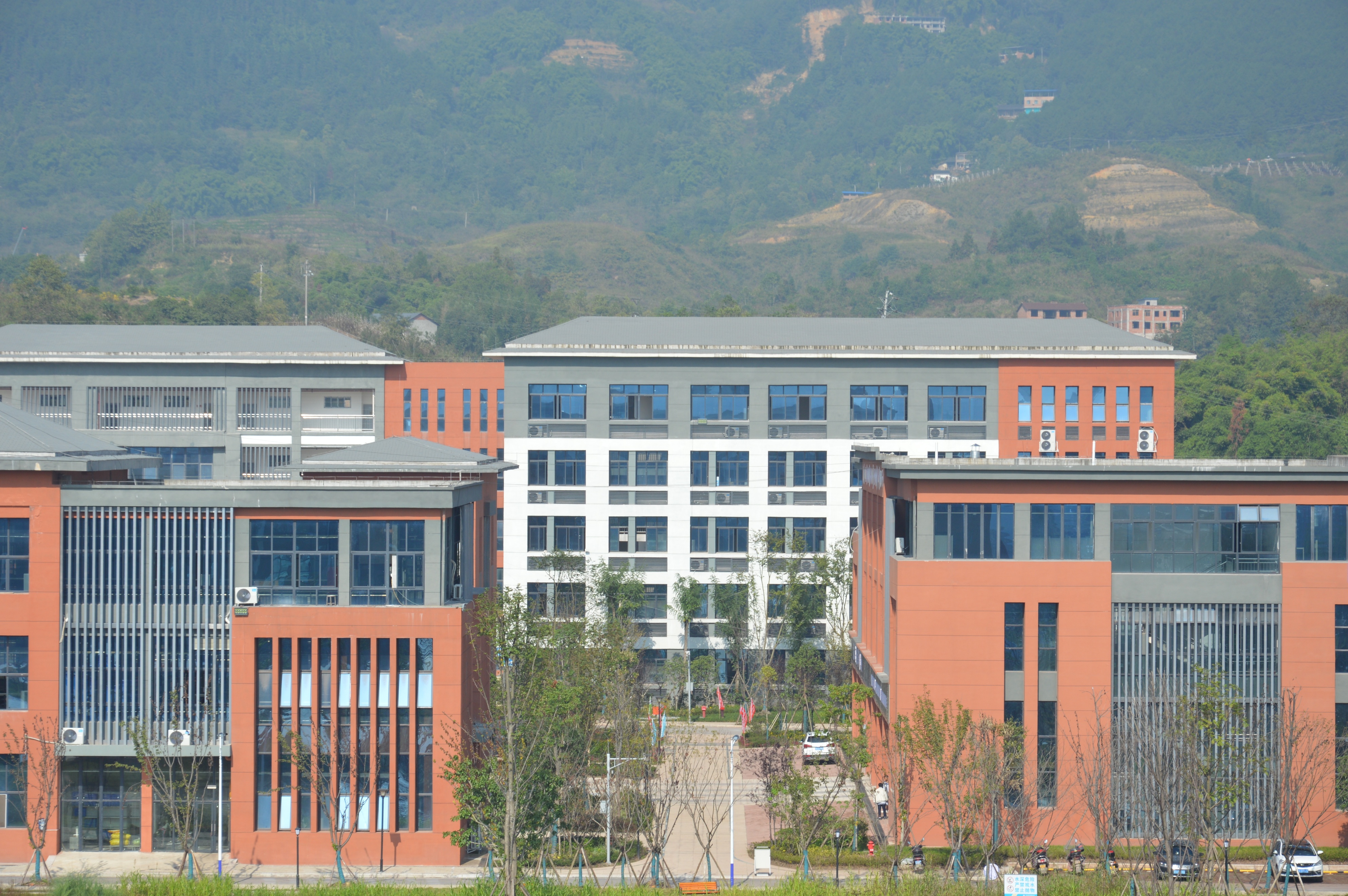 县市大力推进三名工程,推动三项重点工作