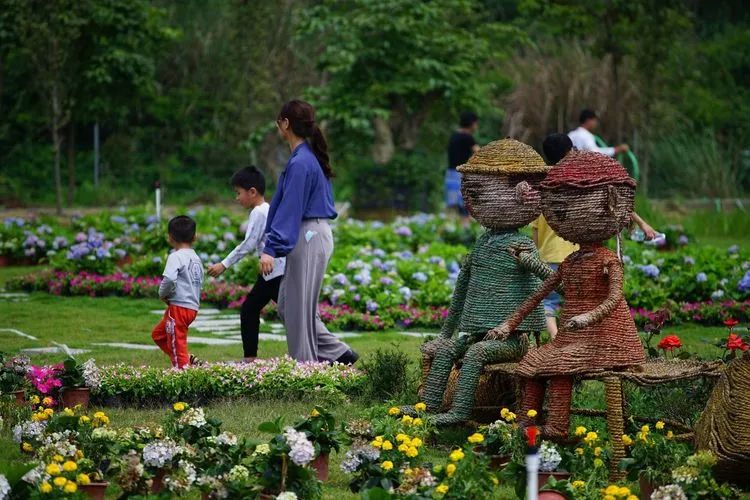 广西旅游攻略天洞,广西旅游攻略大明山