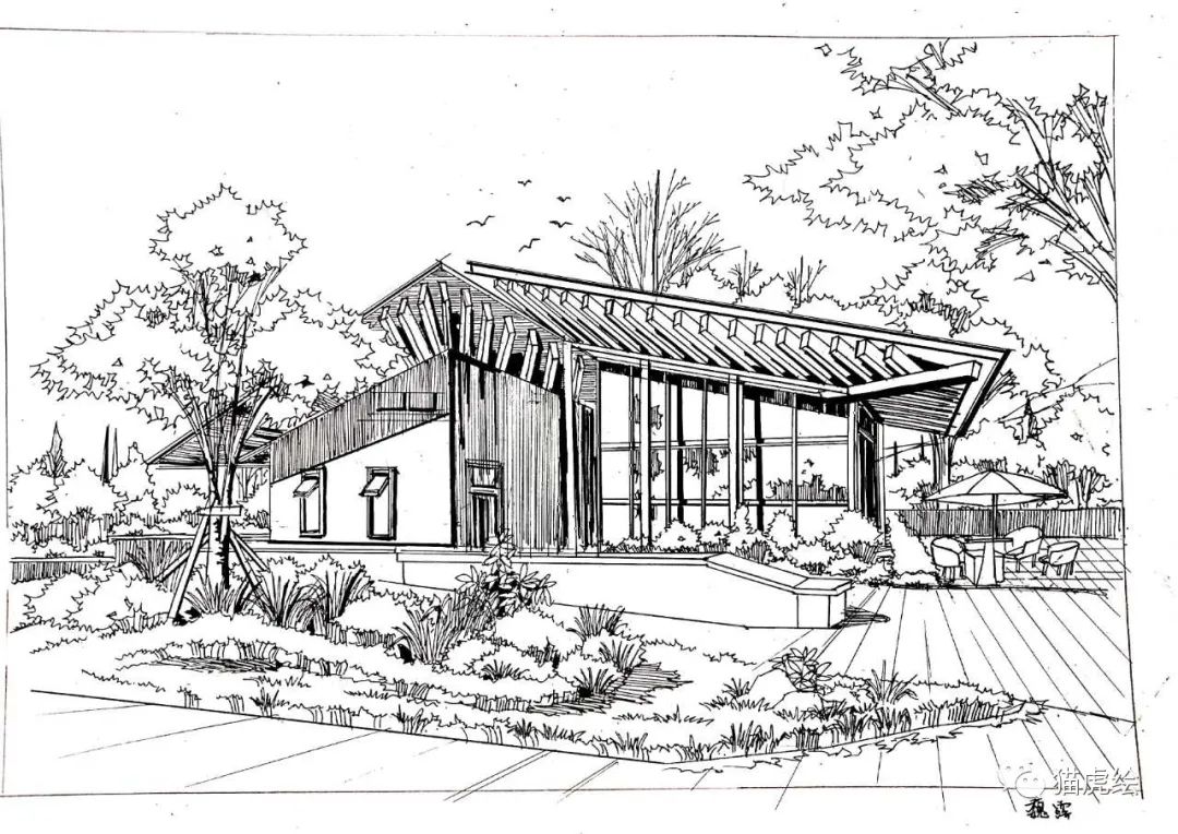 2022猫虎绘暑假手绘班招生简章「线上+线下」