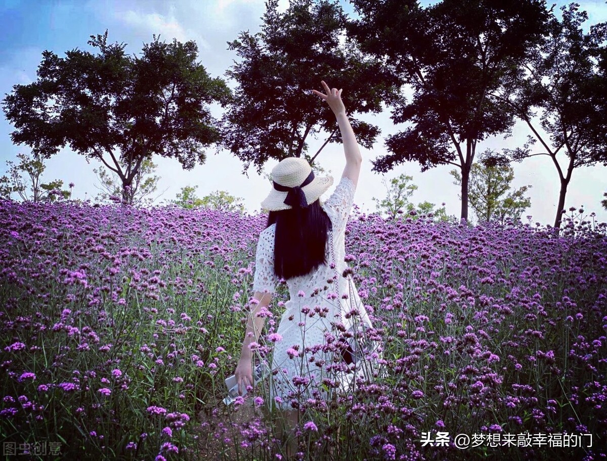 逆袭之爱上情敌大结局,父母爱情大结局