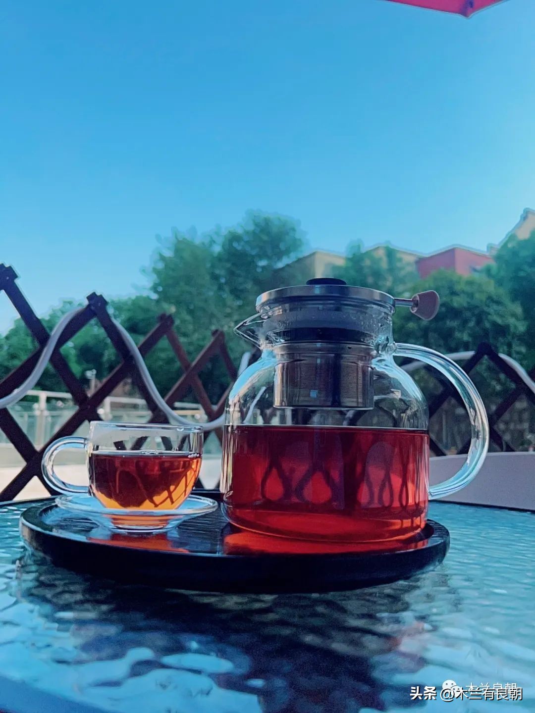 张爱玲的小团圆讲了一个什么故事,张爱玲的小团圆原文