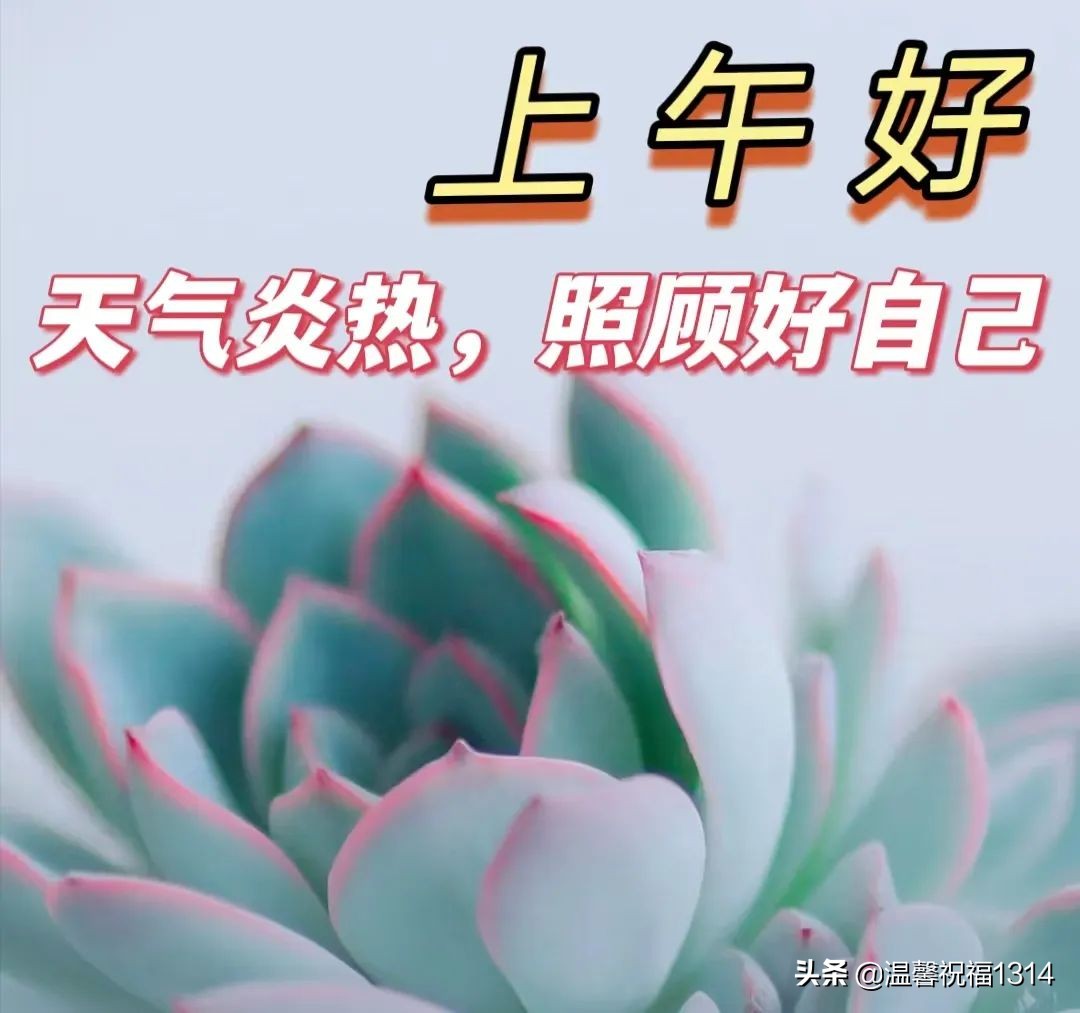 7月12日早安温馨问候语,7月1日清晨祝福语