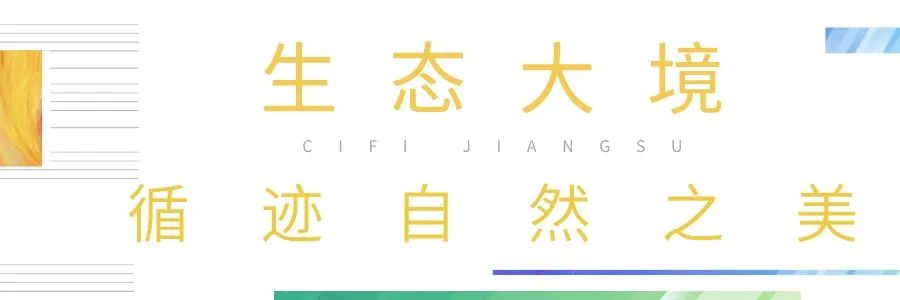 都会江来丨楼市利好频发，小阳春买房正当时