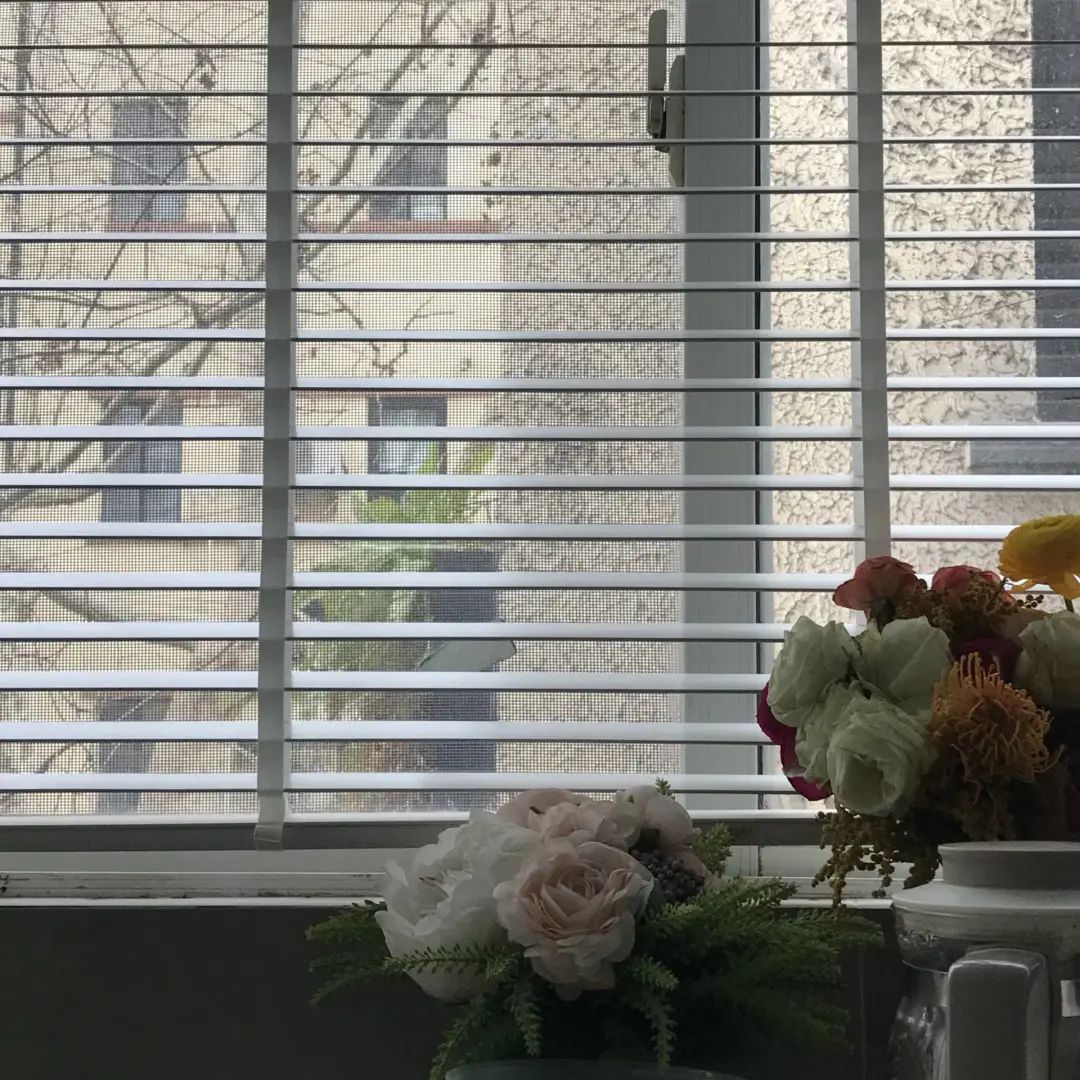 错过了一个秋天,错过了一个春秋