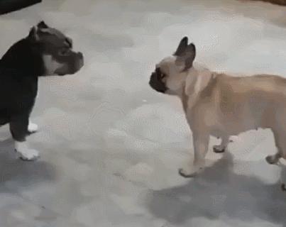 女厕的诡异之处,女厕所发现怪异男尸