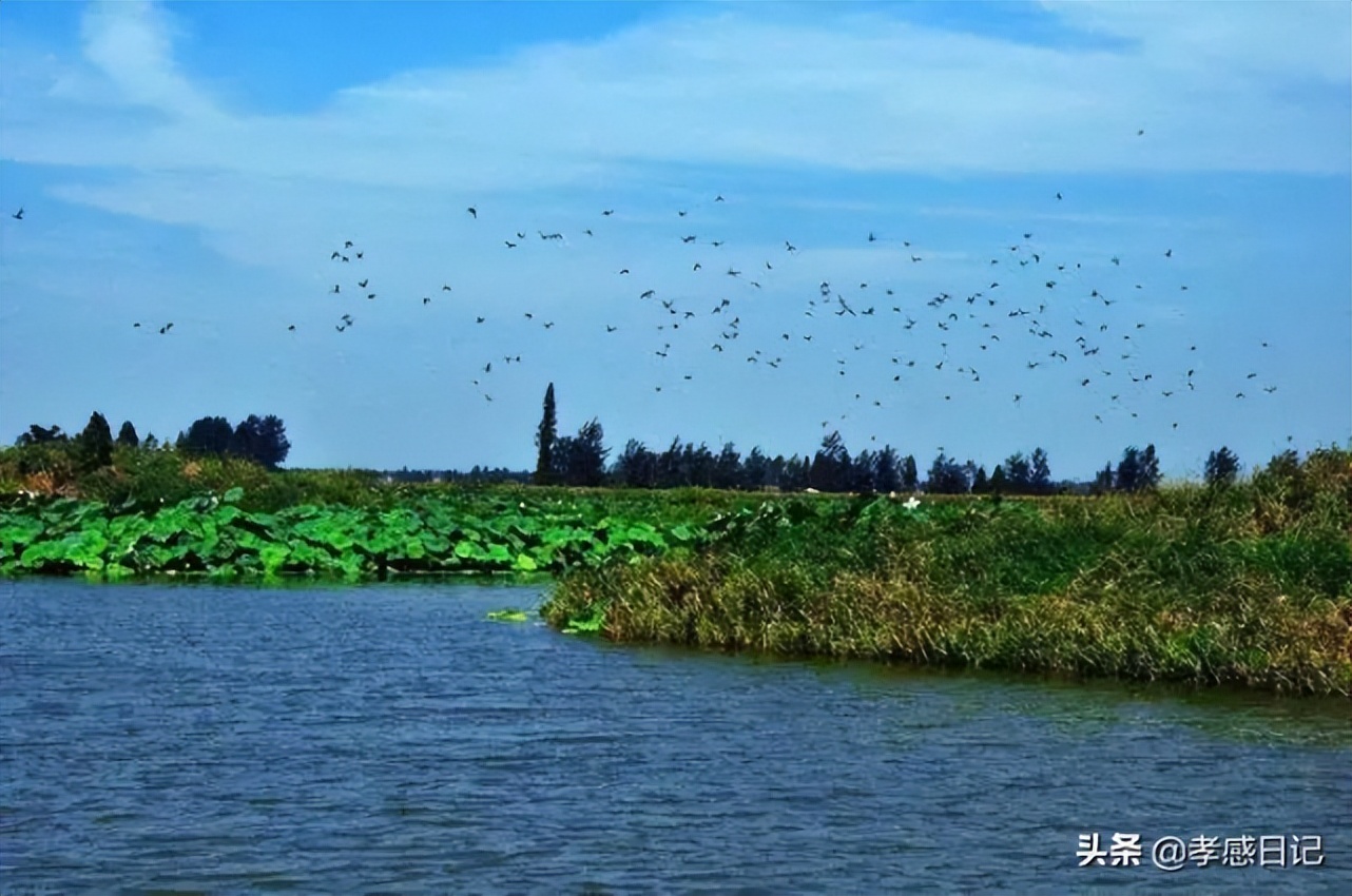 孝感邓家河湿地公园投资多少钱,十里河森林公园投资35亿