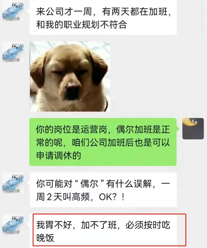 00后最硬气的辞职信,00后低情商辞职信走红