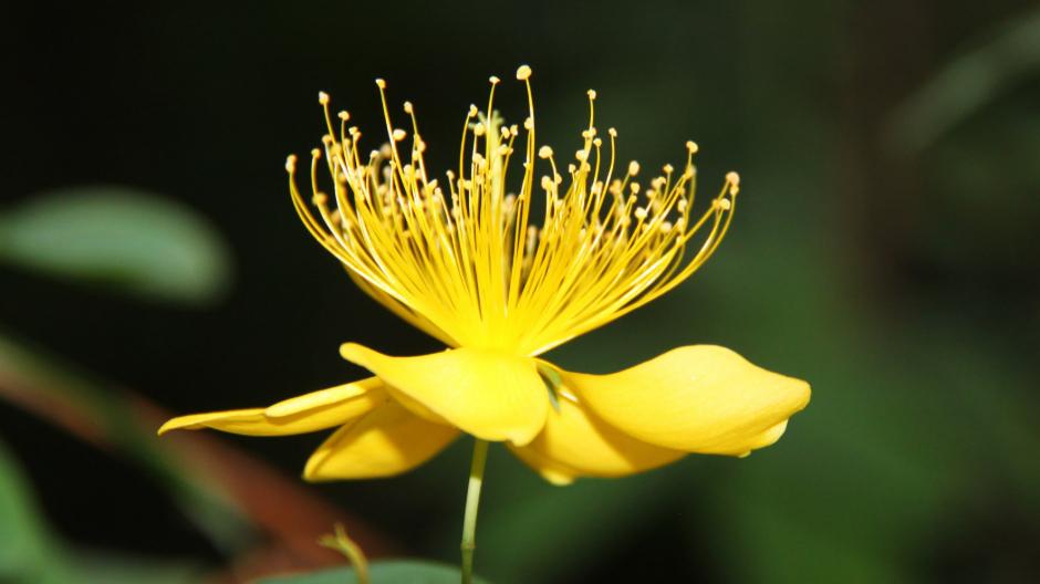 亲戚之间不能做的八件事,亲戚结仇