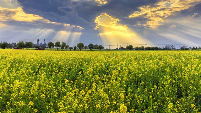 2022年联集:归梦