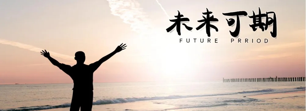 卡塔尔世界杯电动客车比亚迪,卡塔尔为世界杯做出的改变