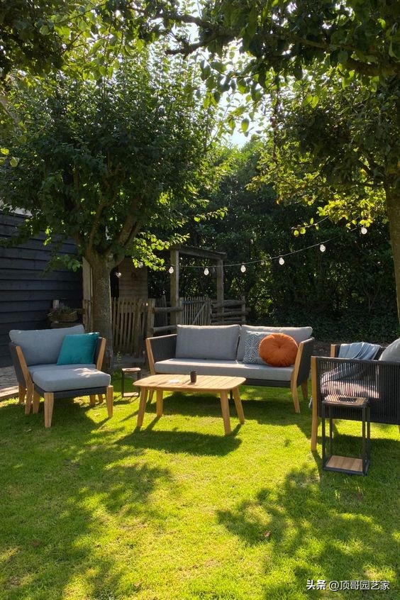 花园草坪用什么草种好,草坪怎么铺效果最好