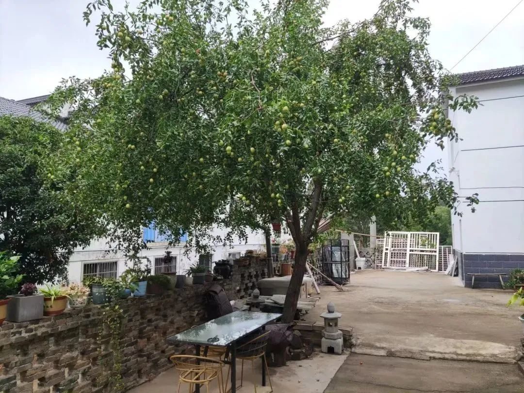 茅山国学文化亲子游,茅山民俗文化艺术