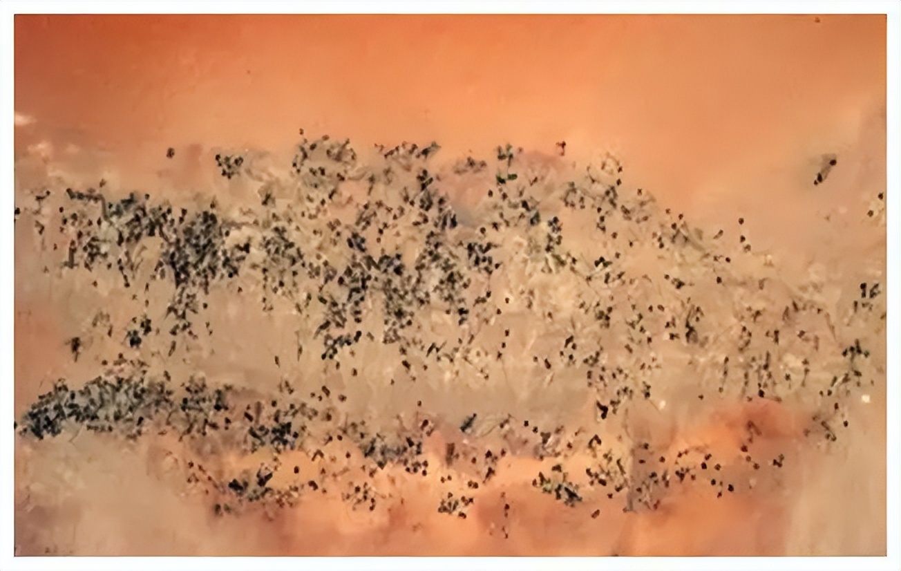 撒哈拉沙漠徒步,沙漠徒步1000公里