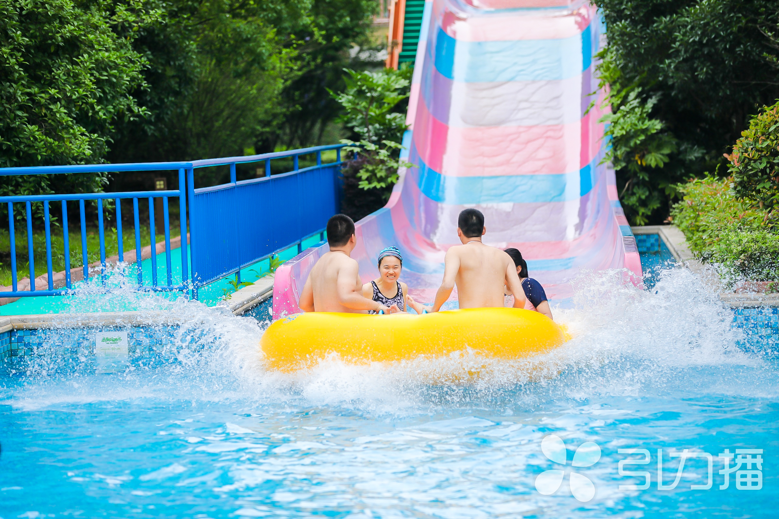 苏州乐园森林水世界有哪些项目,苏州森林世界乐园和水上乐园