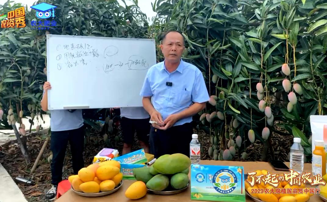 了不起的中国农业梅州金柚,了不起的中国农业