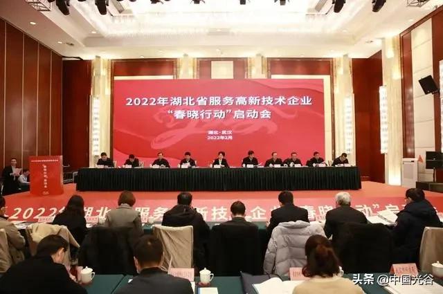 湖北高新企业百强,中国光谷高新技术企业