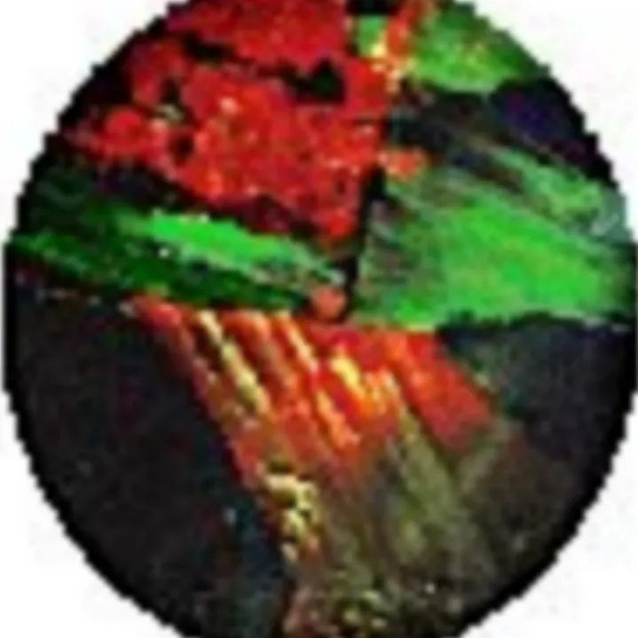 欧泊火爆的图片,欧泊什么时候流行的