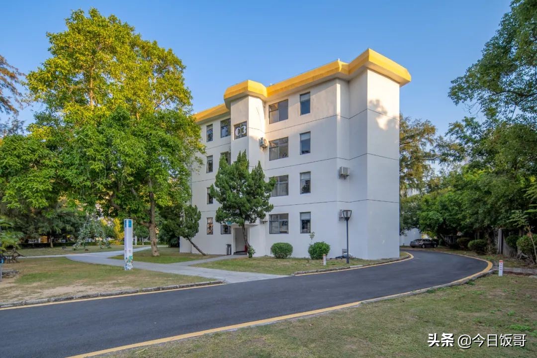 深圳清明旅游海边推荐哪里,深圳清明海边旅游攻略