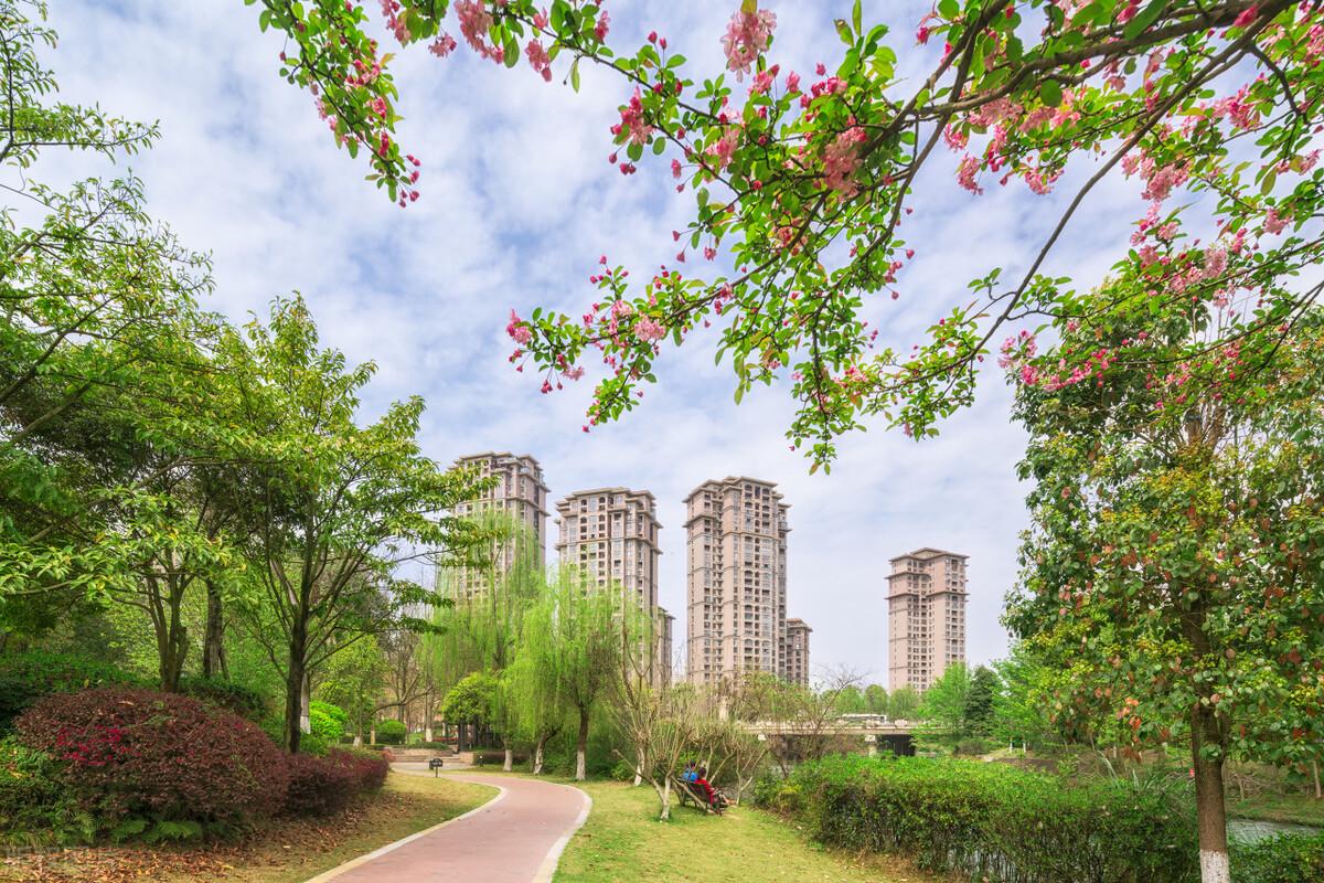 猛龙过江是什么招式,猛龙过江粤语9集