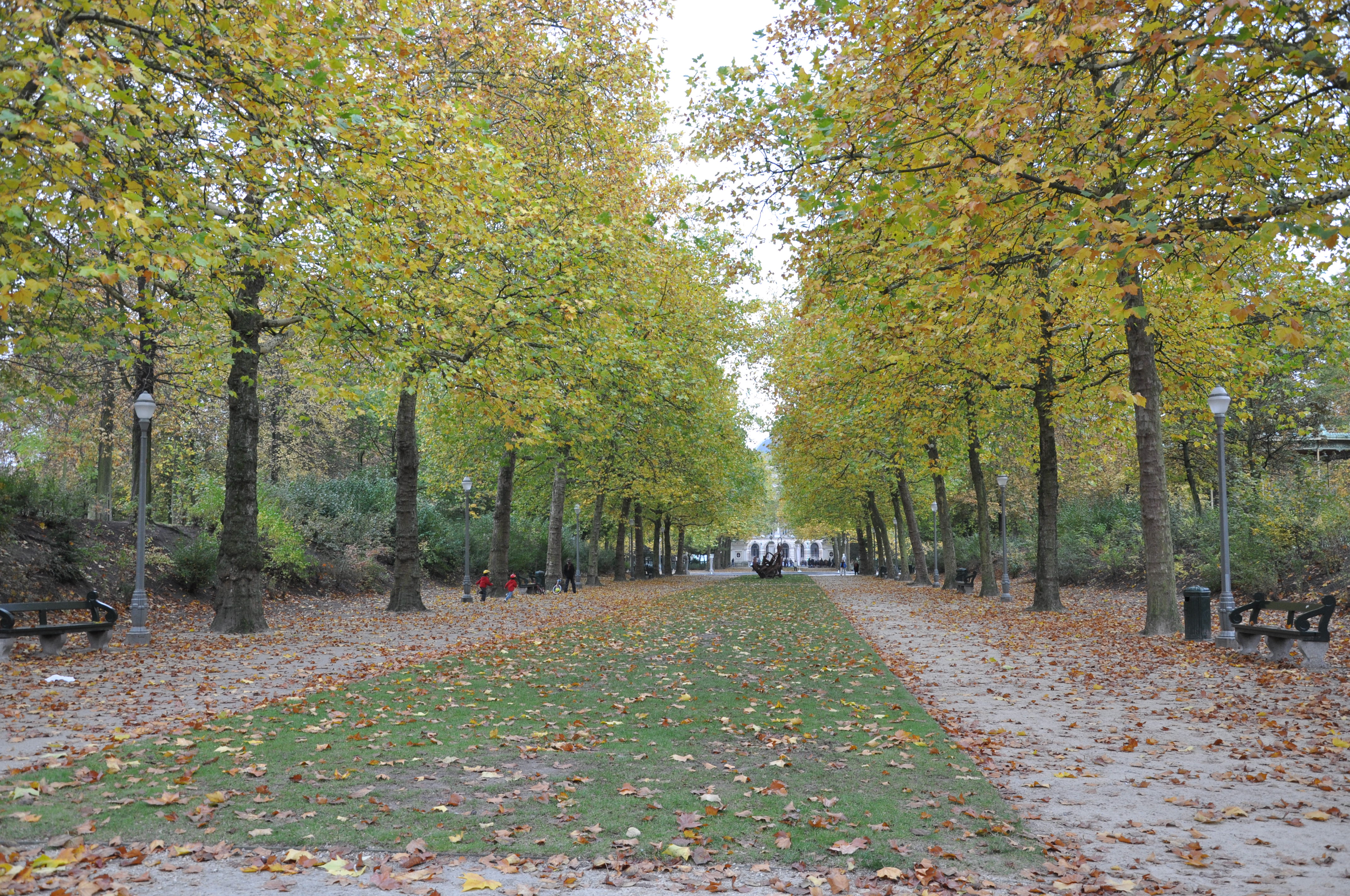 小尿童于连的身高,比利时印象巧克力