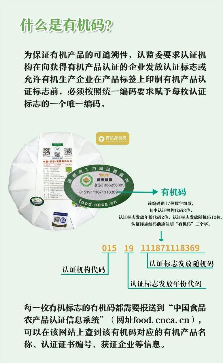 福鼎白茶野山有机茶价格,福鼎白茶假的有机茶