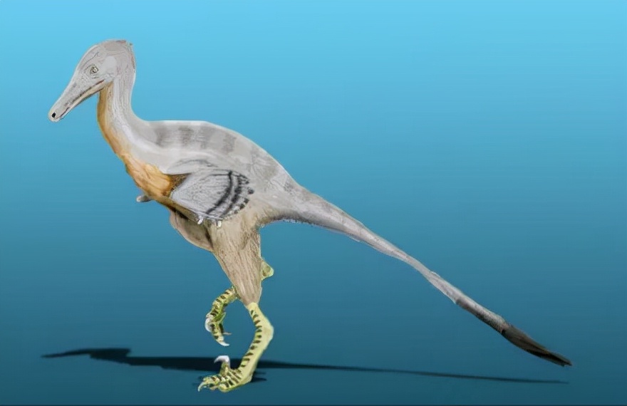 恐龙世界认识史前各种恐龙,食草恐龙和食肉恐龙科普视频