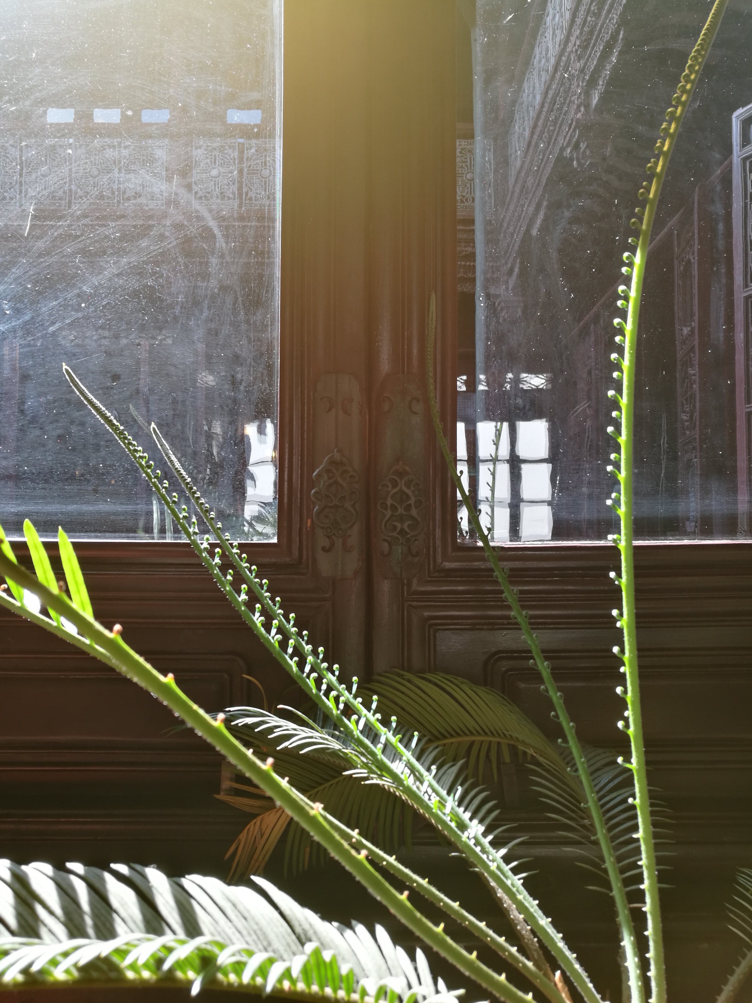 苏州东山农贸批发市场图,苏州东山轻轨