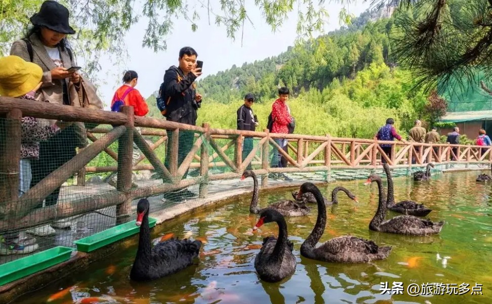 济南红色景点打卡,济南西打卡景点